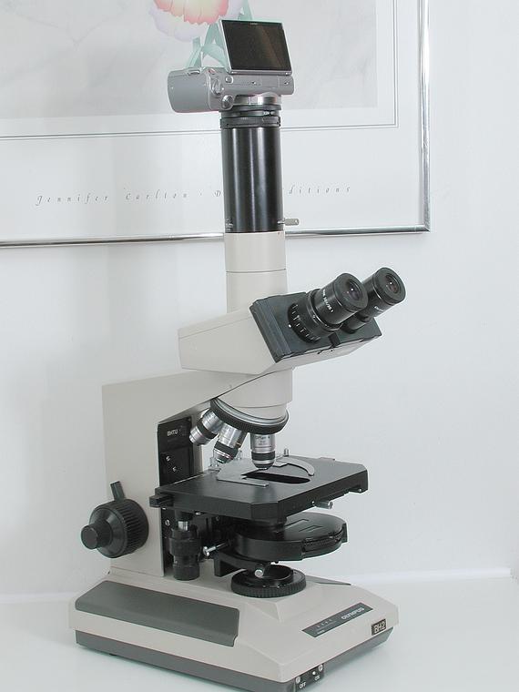 Olympus BH-2, Phase Contrast Microscope, Sony DSLR Camera