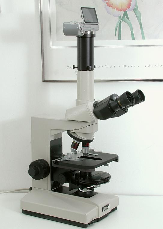 Nikon Labophot Phase Microscope, Transmitted Light, Sony Digital Camera, Three Nikon Phase ContrastObjectives