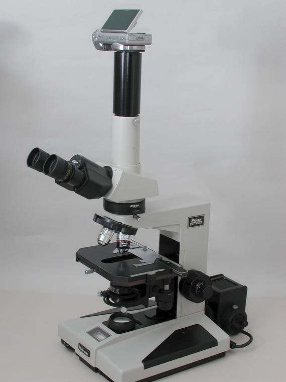 Nikon Optiphot Polarizing Microscope, Transmitted Light, Sony Digital Camera, Three Nikon Objectives 4x, 10x Long Working Distance and 20x