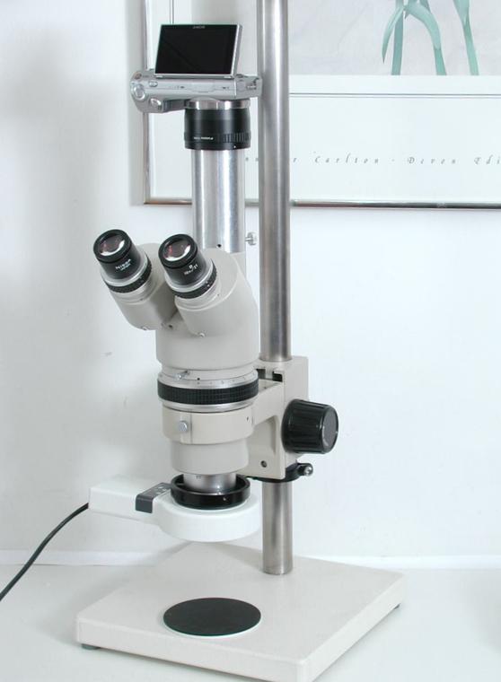 Nikon SMZ10 Stereo Zoom Microscope, Ring Light Illumination, Very heavy tall stand, 14MP HD Sony Camera