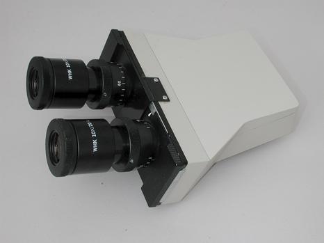 Enlarge Olympus Binocular Head CH-2 w/ 10x Eyepieces