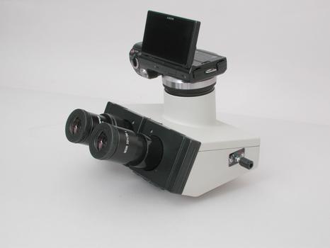 Olympus Trinocular BH-2 Head w/ Sony DSLR