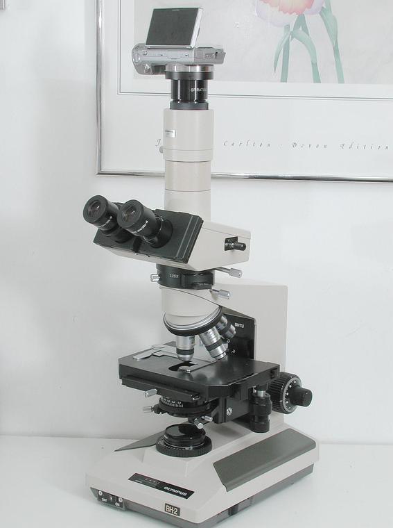 Olympus BH2 Polarizing Microscope, Sony 14MP HD Camera